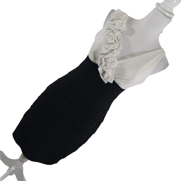 EN FOCUS STUDIO! CREAM OVER BLACK ALL STRETCH ROSE EMBELLISHED DRESS! SZ 4 - Picture 11 of 11
